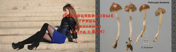 a pvp Балабаново
